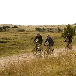 Fuglsocentret 3* Knebel