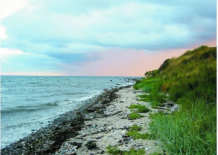 Fuglsocentret Hotel Knebel