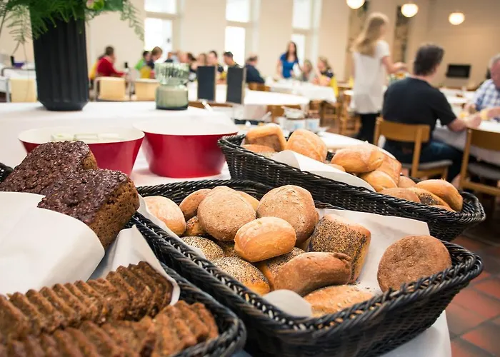 Fuglsocentret Knebel