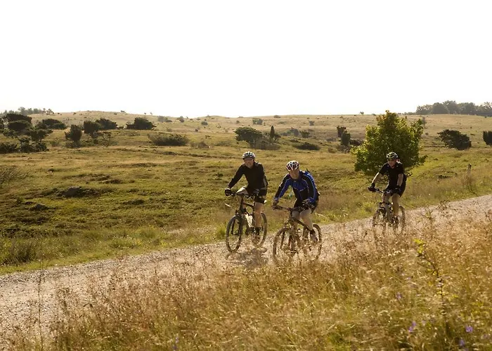 Fuglsocentret 3* Knebel